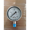 Pressure gauge 