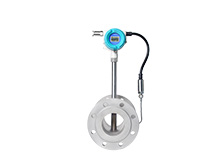 Vortex flow meter 