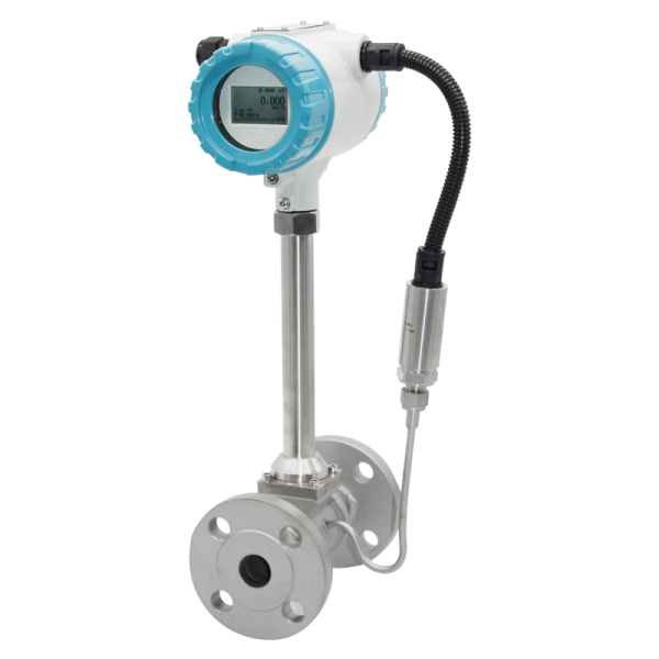 Steam swirl flow meter